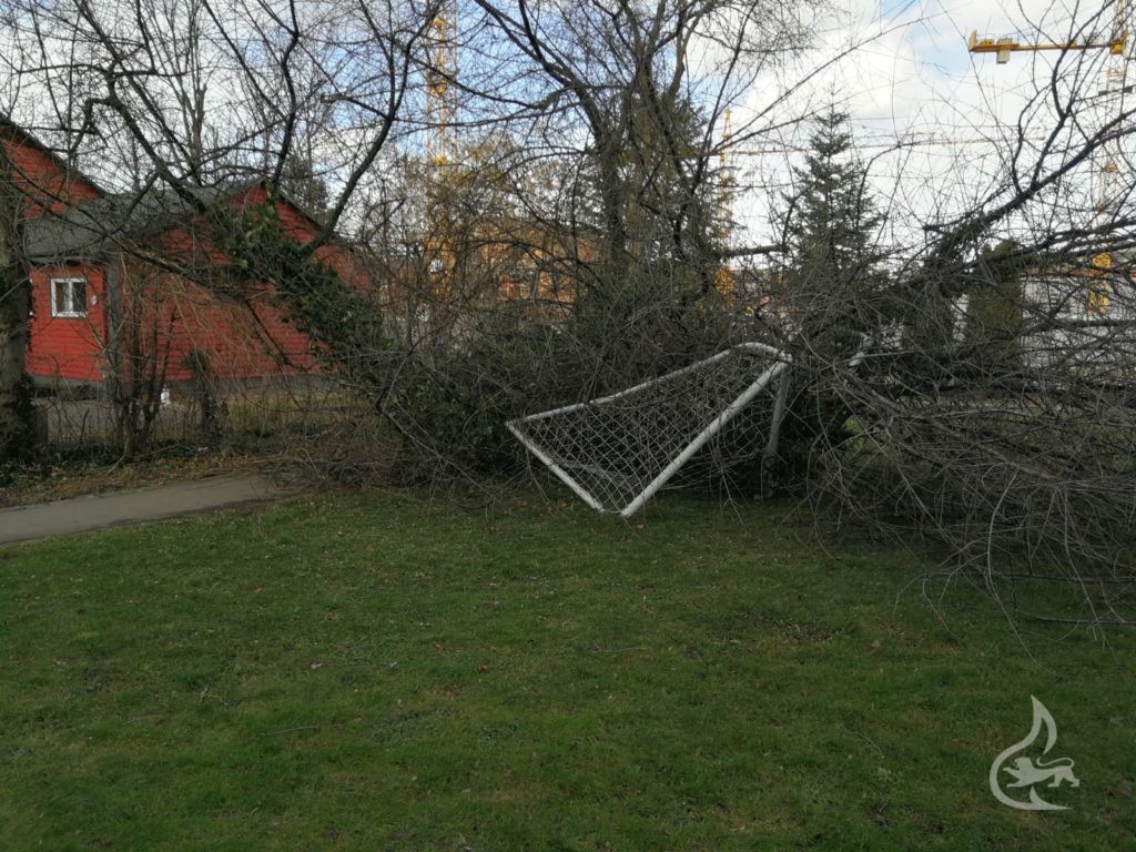 Unwetter - Umgestürzter Baum - Freiwillige Feuerwehr ...